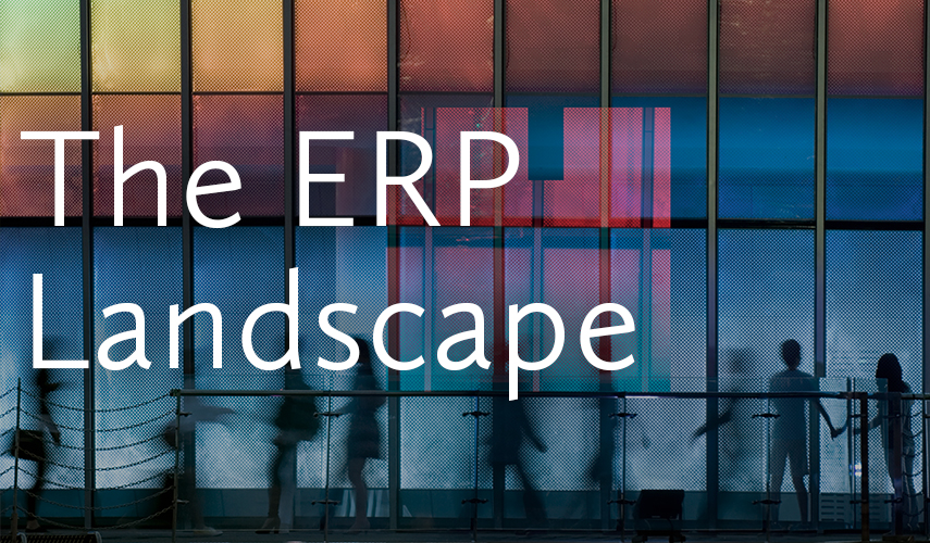 erp landscape