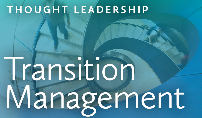 ERP Implementation Transition Management