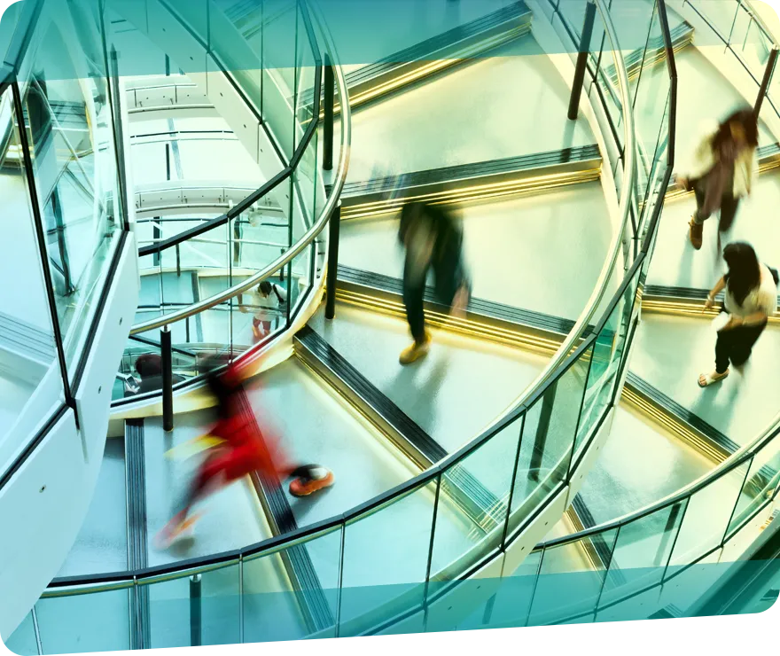 Services for Higher Education