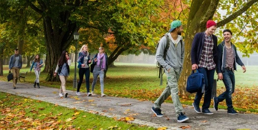 university shared services